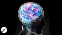 [neowake Biofrequencies] 100% мозговая активность. Энергетик мозга. Мозговая музыка