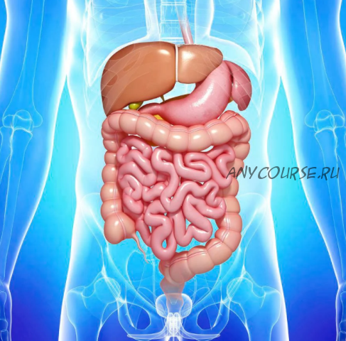 [Sigh Energy] Пищеварительная система | Digestive System Powerful Plus+11x (Extra Strong)