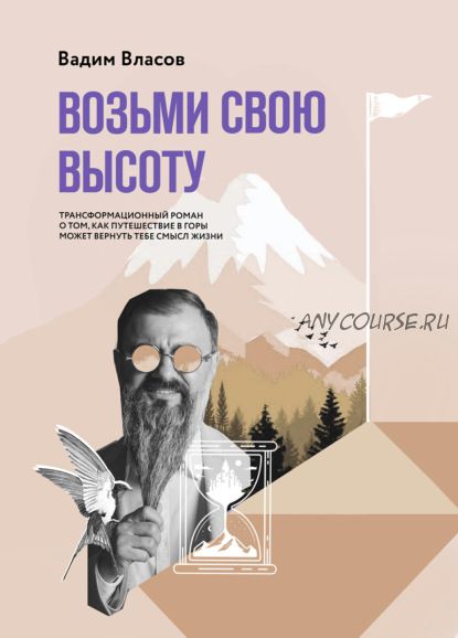 Возьми свою высоту (Вадим Власов)