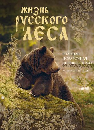 Жизнь русского леса. Большая подарочная энциклопедия (Ксения Митителло)