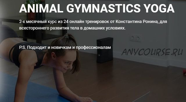 Animal gymnastics yoga (Константин Ронин)