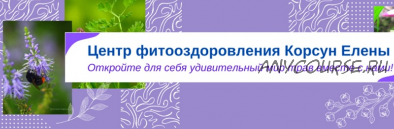 Травы при остеохондрозе, позвоночных протрузиях и грыжах (Елена Корсун)