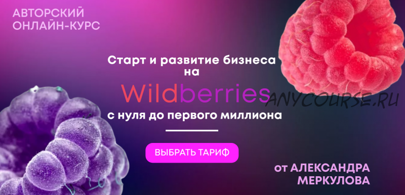 Старт и развитие бизнеса на Wildberries. Тариф Первые деньги (Александр Меркулов)