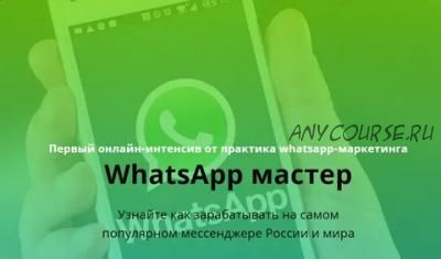 WhatsApp мастер (Илья Егоров)