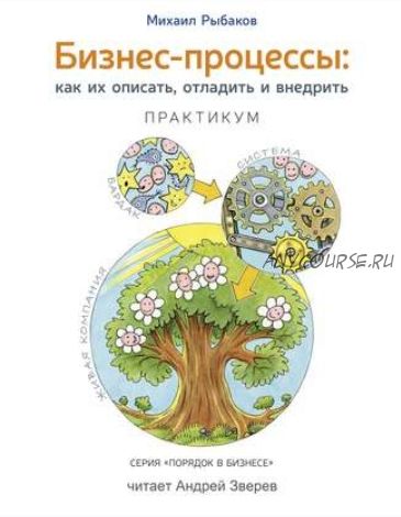 [Аудиокнига] Бизнес-процессы. Как их описать, отладить и внедрить. Практикум (Михаил Рыбаков)