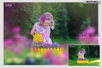 [Сreativefabrica] Summer Flowers Painted Overlays. Наложения на фото 'Летние цветы' (MixPixBox)