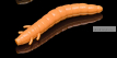 Силиконовая приманка Soorex King Worm 55мм/ 1.8 гр / 7 шт. в уп/ цвет: 130 Песочный