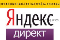 Профессиональная настройка Яндекс.Директ, 2016 (Нелли Давыдова)