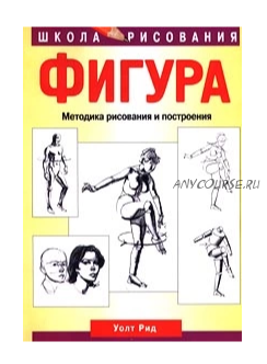 Фигура. Методика рисования и построения (Уолт Рид)