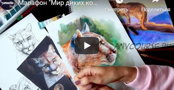 [Samouchka School] Мир диких кошек: Пума (Татьяна Yourartpets)