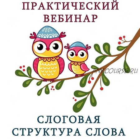 Слоговая структура слова. Нейропсихологический подход (Ангелина Сыщенко)