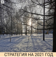 Стратегия на 2021 год (Александр Петров)