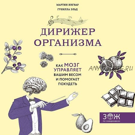 Дирижер организма. Как мозг управляет вашим весом и помогает похудеть (Мартин Ингвар)