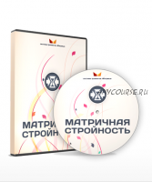 Матричная стройность. VIP-блок (Дмитрий Богданов, Андрей Клюхин)
