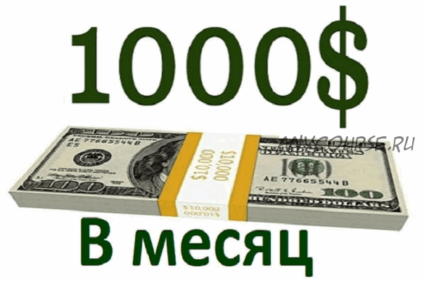 1000 у.е в месяц без технических проблем