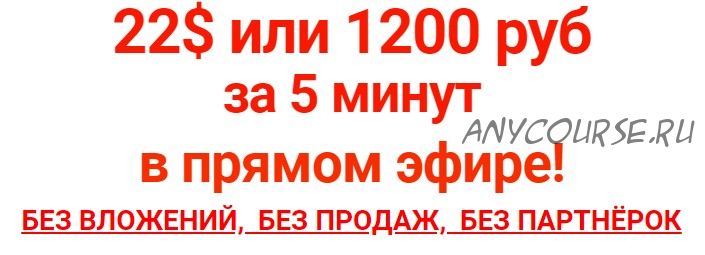 Зарабатывай на одном сервисе, одним действием (Андрей Вебер)