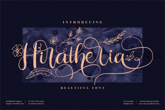 [Creativefabrica] Hiratheria Font (perspectype)