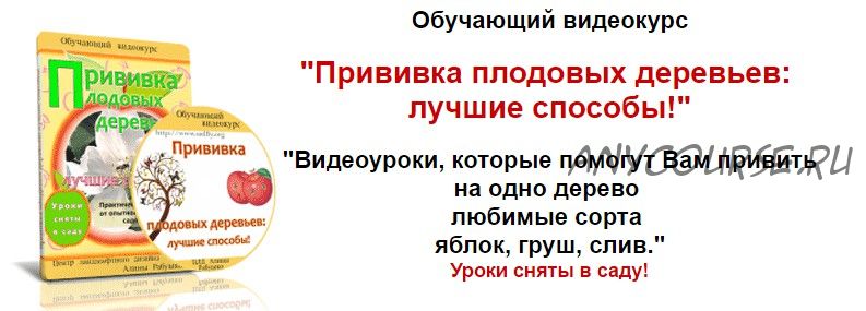 Прививка плодовых деревьев: лучшие способы (Николай Рабушко)