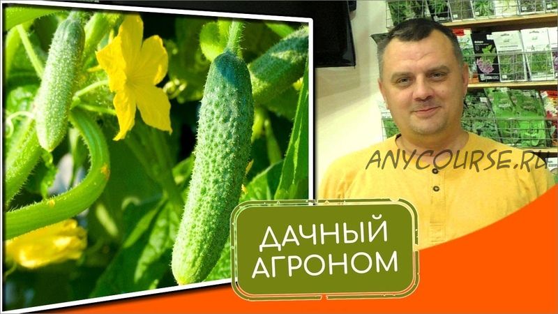 [Дачный агроном] Огуречный Курс (Вячеслав Грисюк, Юлия Петровна)