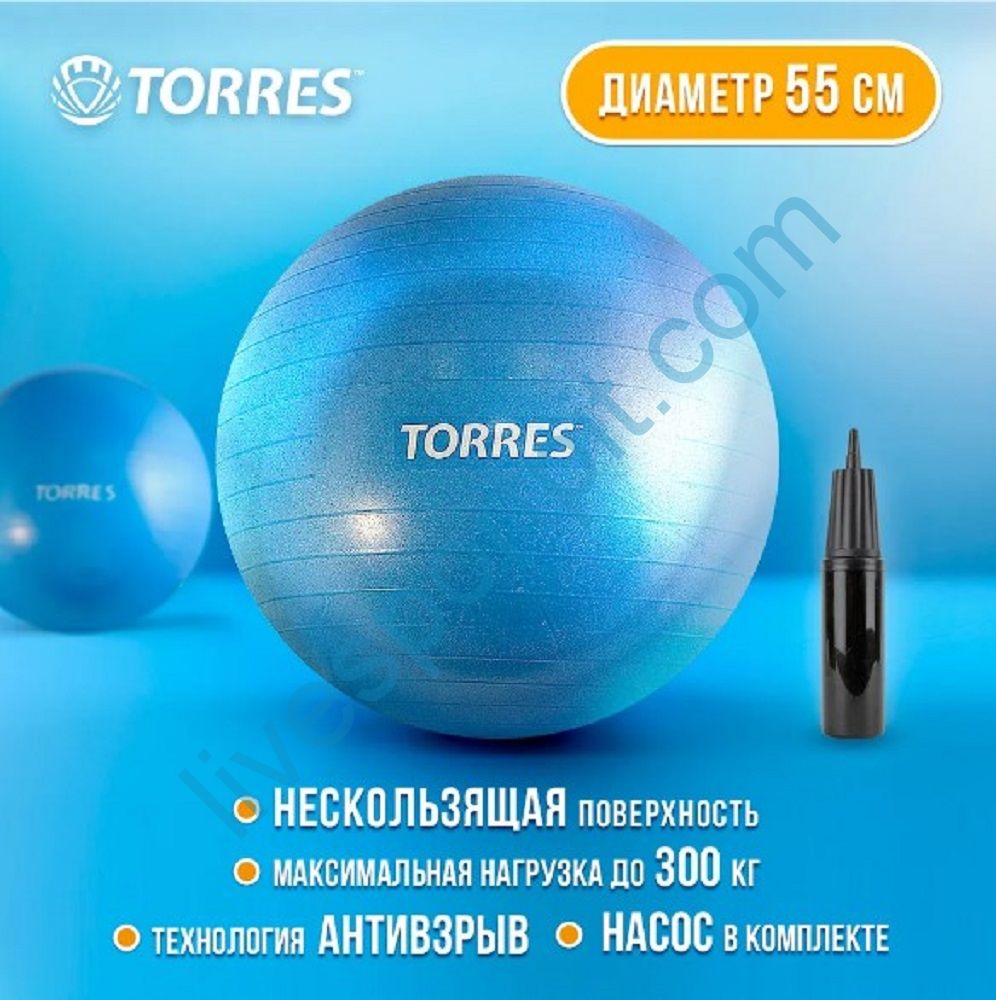 Мяч гимнастический 55 см 65 см AL121155BL AL121155BL TORRES