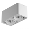 Светильник Накладной Lightstar MONOCCO LED 2x10W 052126-IP65 Белый, Металл / Лайтстар