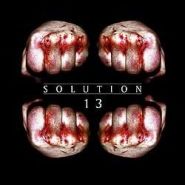 SOLUTION 13 (Sentenced) - Solution 13