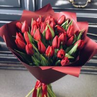 35 красных тюльпанов в красной упаковке