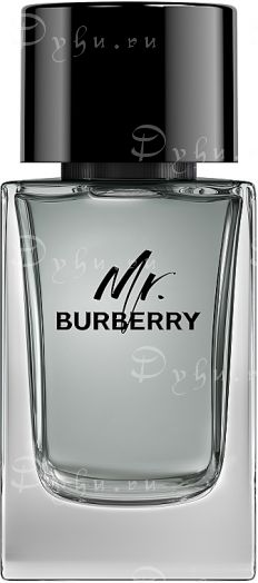 Burberry Mr.