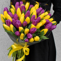 Букет 51 желтых и фиолетовых тюльпанов №25