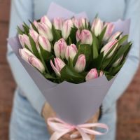 Букет 25 бело-розовых тюльпанов №27