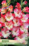 Gladiolus-Dzherona-10-12-8-sht
