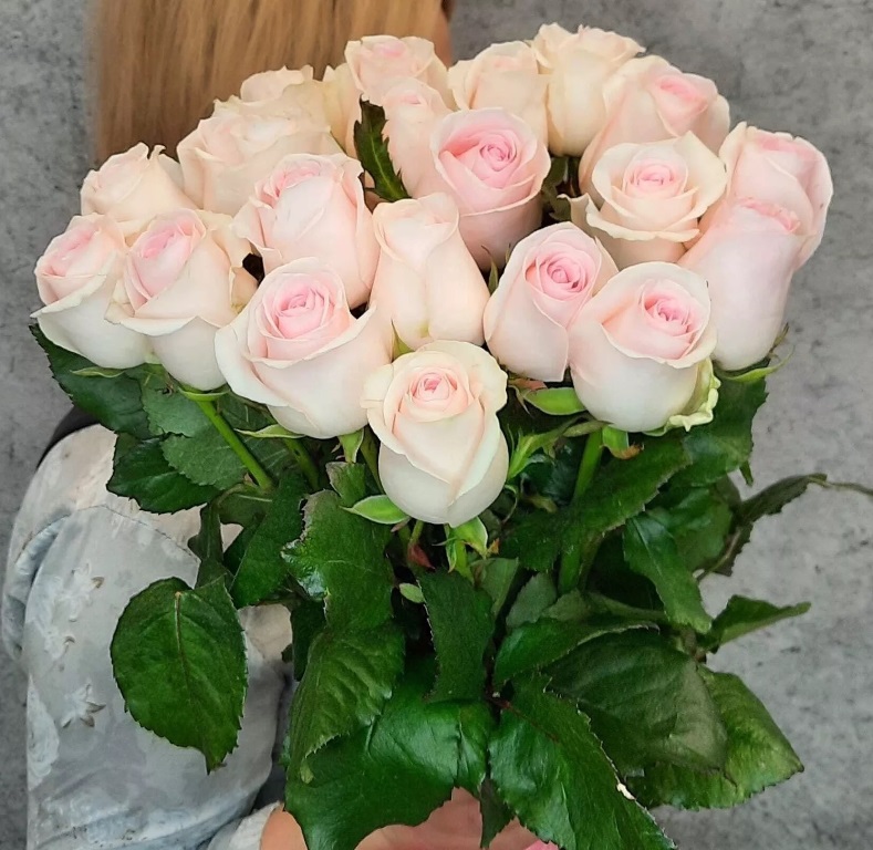 Розы розовые 21 шт 80 см
