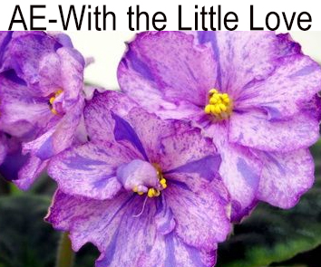 АЕ-With the Little Love (Архипов)