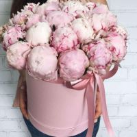 25 розовых пионов в шляпной коробке