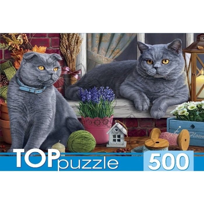 Пазл «Два британских кота», 500 элементов
