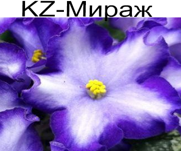 KZ-Мираж