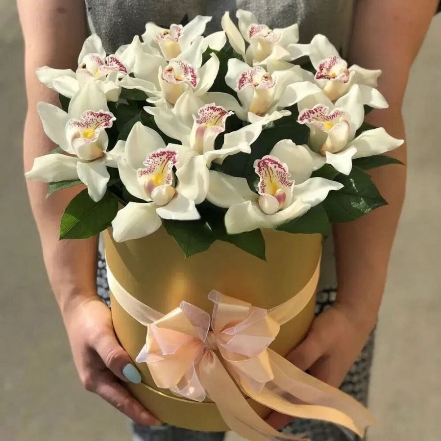 11 белых орхидей в коробе