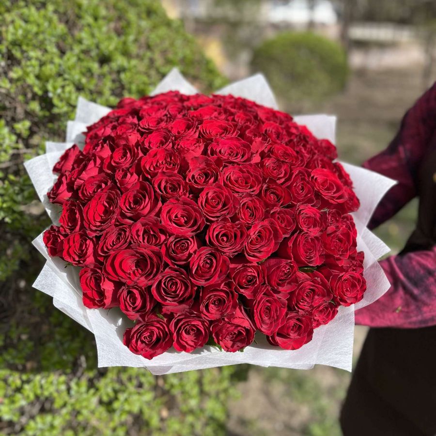 101 красная роза в упаковке (кения, 40см)