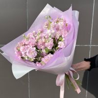Букет из 9 розовых маттиол (кустовые)