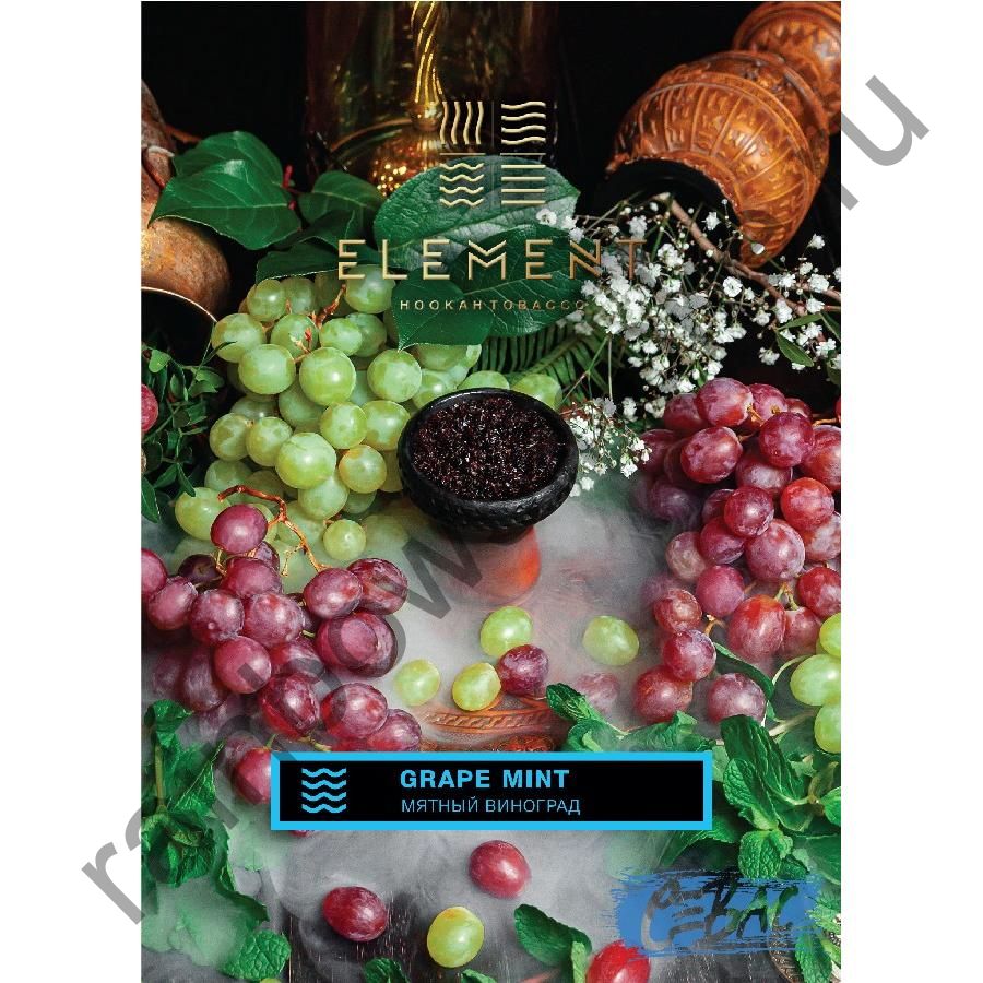 Element Вода 200 гр - Grape Mint (Виноград Мята)
