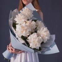 7 белоснежных французских роз