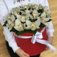 15 белых орхидей в коробе