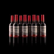 Шикарные Винные бутылки -  Skybridge Wine Bottles