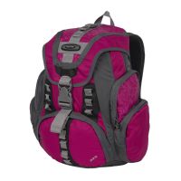 Рюкзак П1507 (Розовый) POLAR S-4617821507296