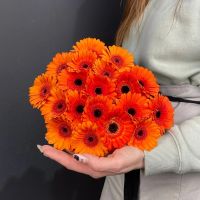 Букет из 25 оранжевых гербер