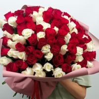 101 красная и белая роза 60см