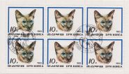 КНДР Блок марок 10 вон "Сиамская кошка" 1983 год