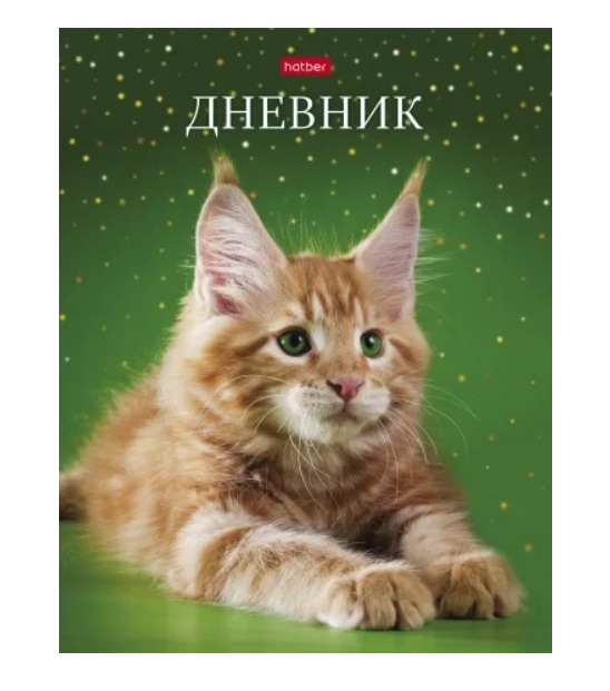 Школьный дневник для учащихся 1-11 классов Рыжий котик
