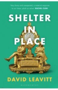 Shelter in Place / Leavitt David