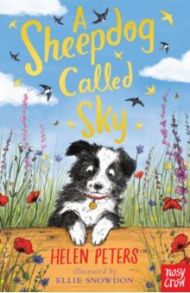 A Sheepdog Called Sky / Peters Helen